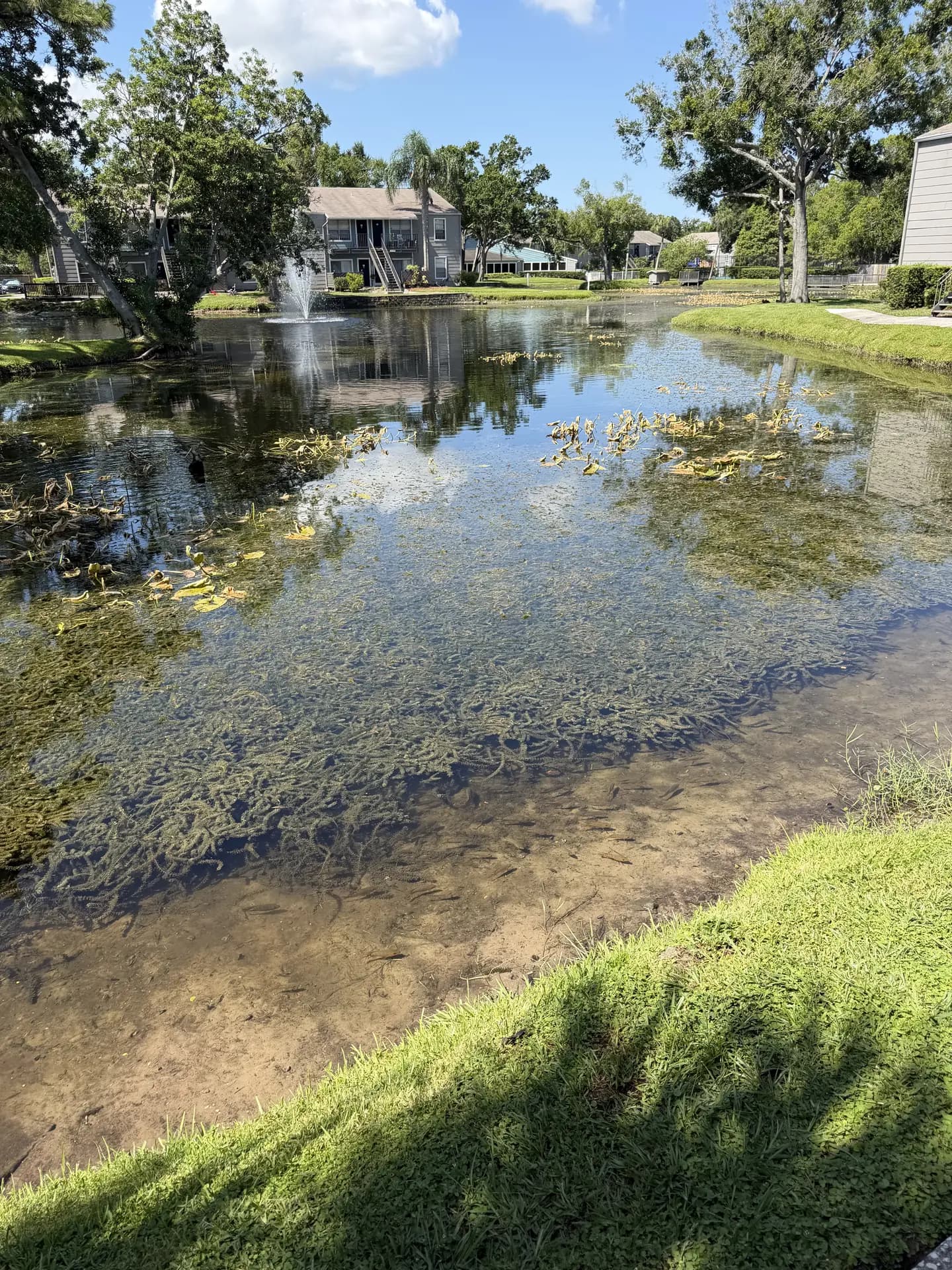 Florida waterway managed by Cypress Creek Environmental Solutions