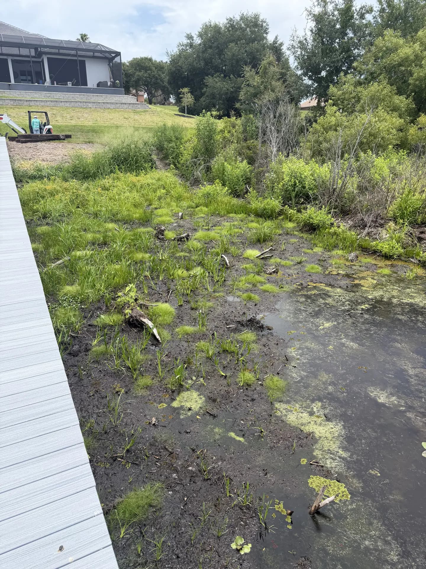 Stormwater management structure beside a managed Central Florida waterway
