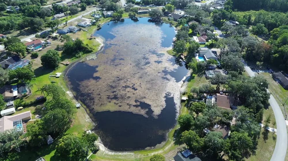 Aerial view of Florida shoreline and water