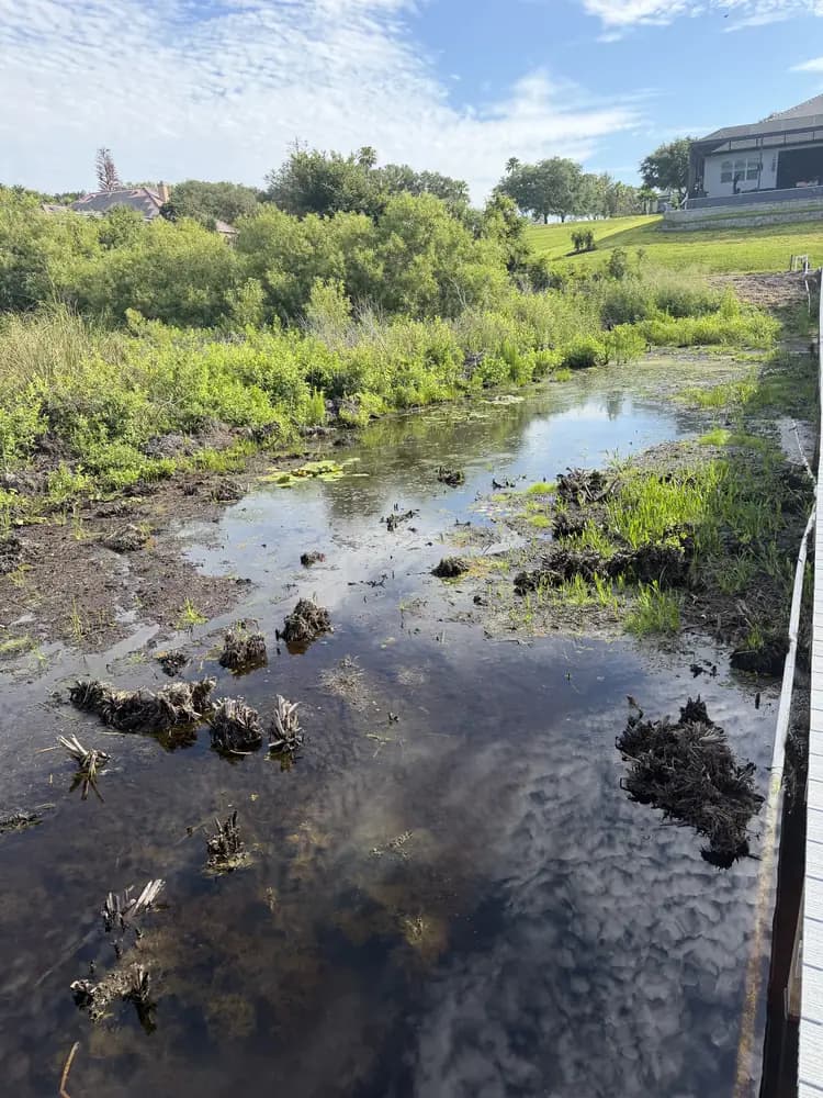Muddy drainage swale before vegetation clearing